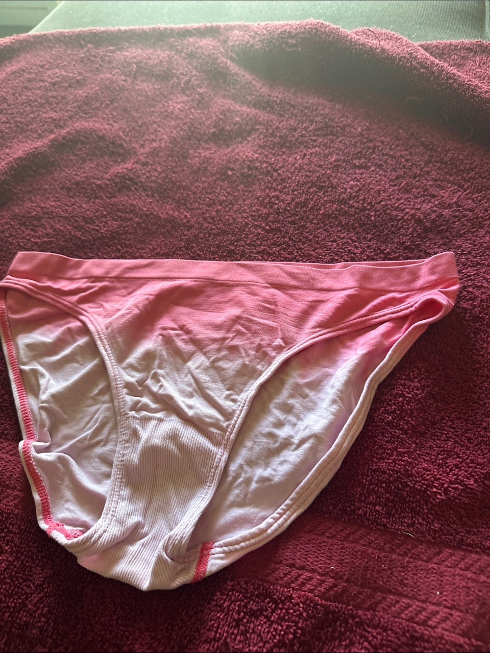 NWOT Pink Ombre Cotton Bikini Briefs